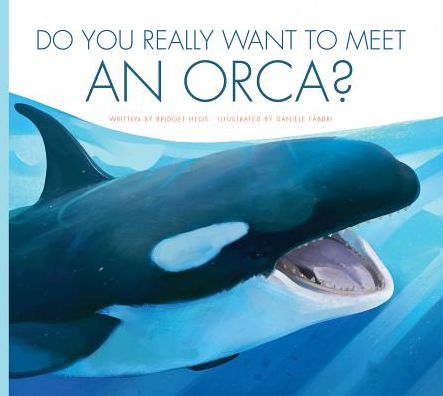 Do You Really Want to Meet an Orca?