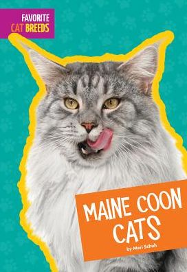 Maine Coon Cats