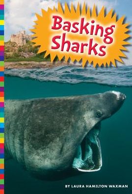 Basking Sharks