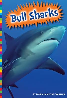 Bull Sharks