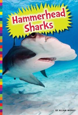 Hammerhead Sharks