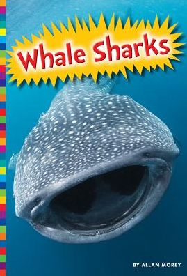 Whale Sharks