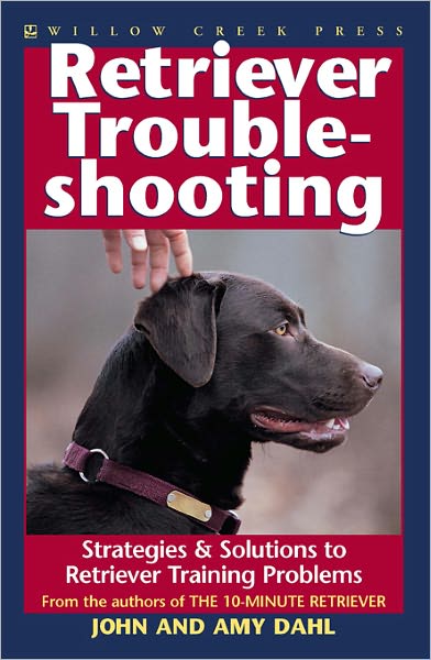 Retriever Troubleshooting: Advanced Retriever Training & Solutions to Training Problems