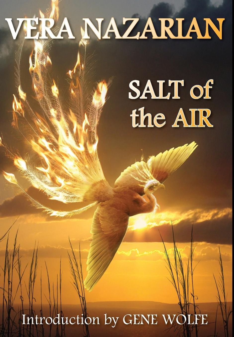 Salt Of The Air
