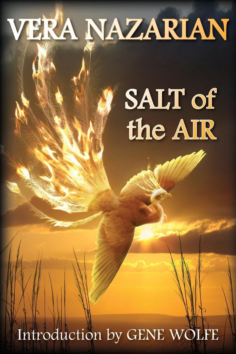 Salt Of The Air