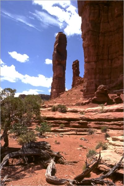Wilderness: The Great Debate