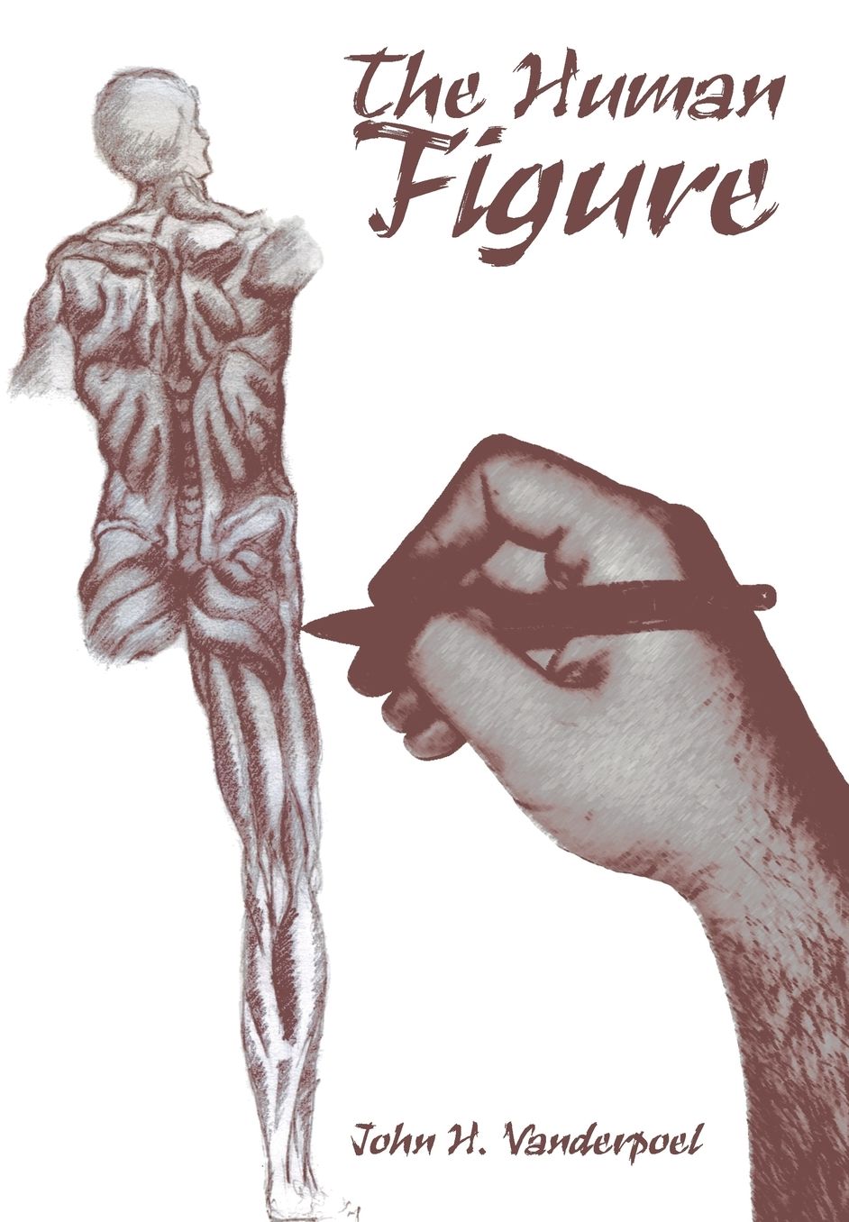The Human Figure