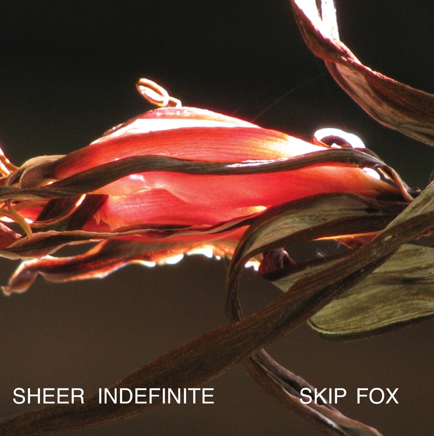 Sheer Indefinite: Selected Poems, 1991-2011