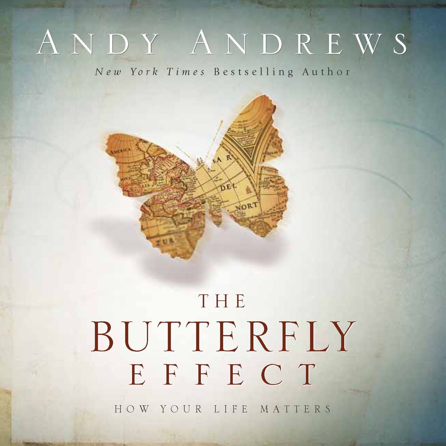 Butterfly Effect: How Your Life Matters (PagePerfect NOOK Book)