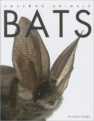 Bats (Amazing Animals Series)