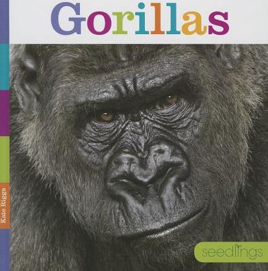 Gorillas