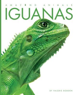 Iguanas