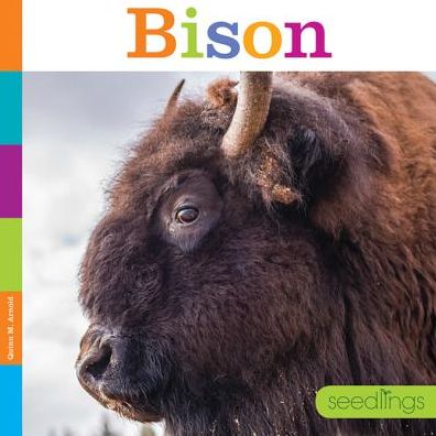 Bison