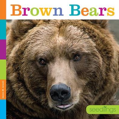 Brown Bears