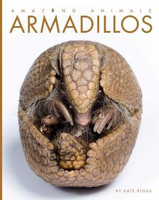 Armadillos