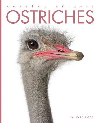 Ostriches