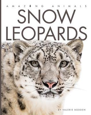 Snow Leopards