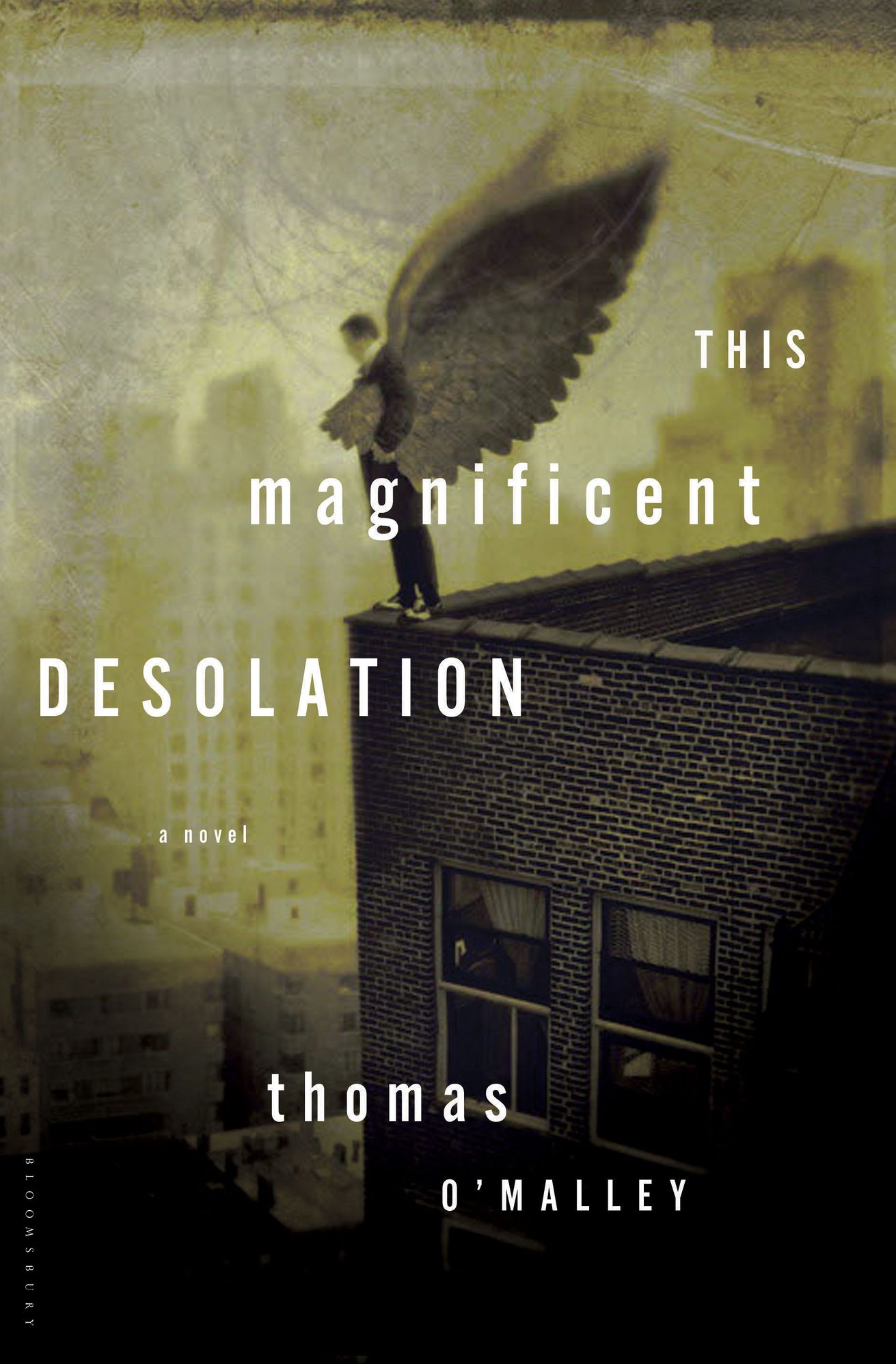 This Magnificent Desolation: A Novel