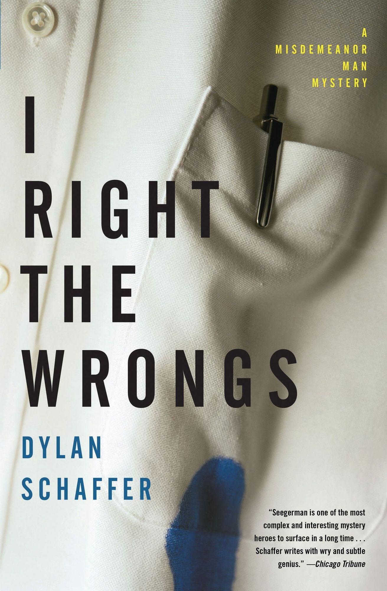 I Right the Wrongs: A Novel