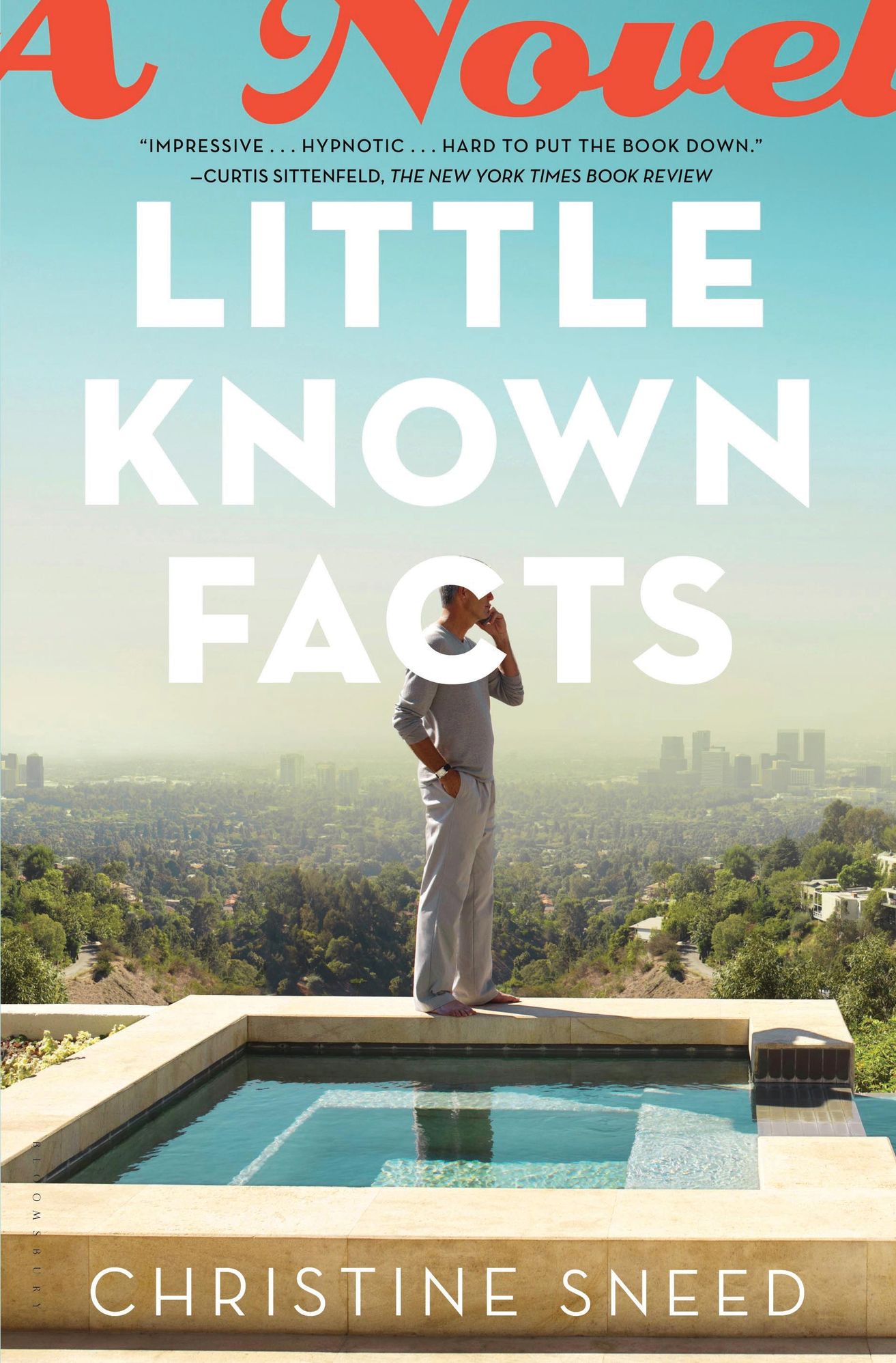 Little Known Facts: A Novel