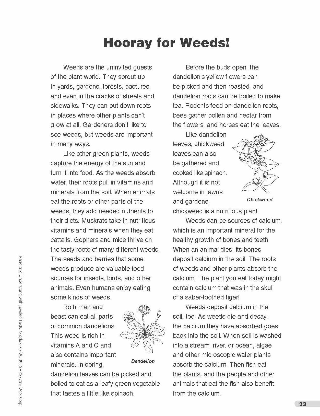 Read and Understand with Leveled Texts: Grade 6+