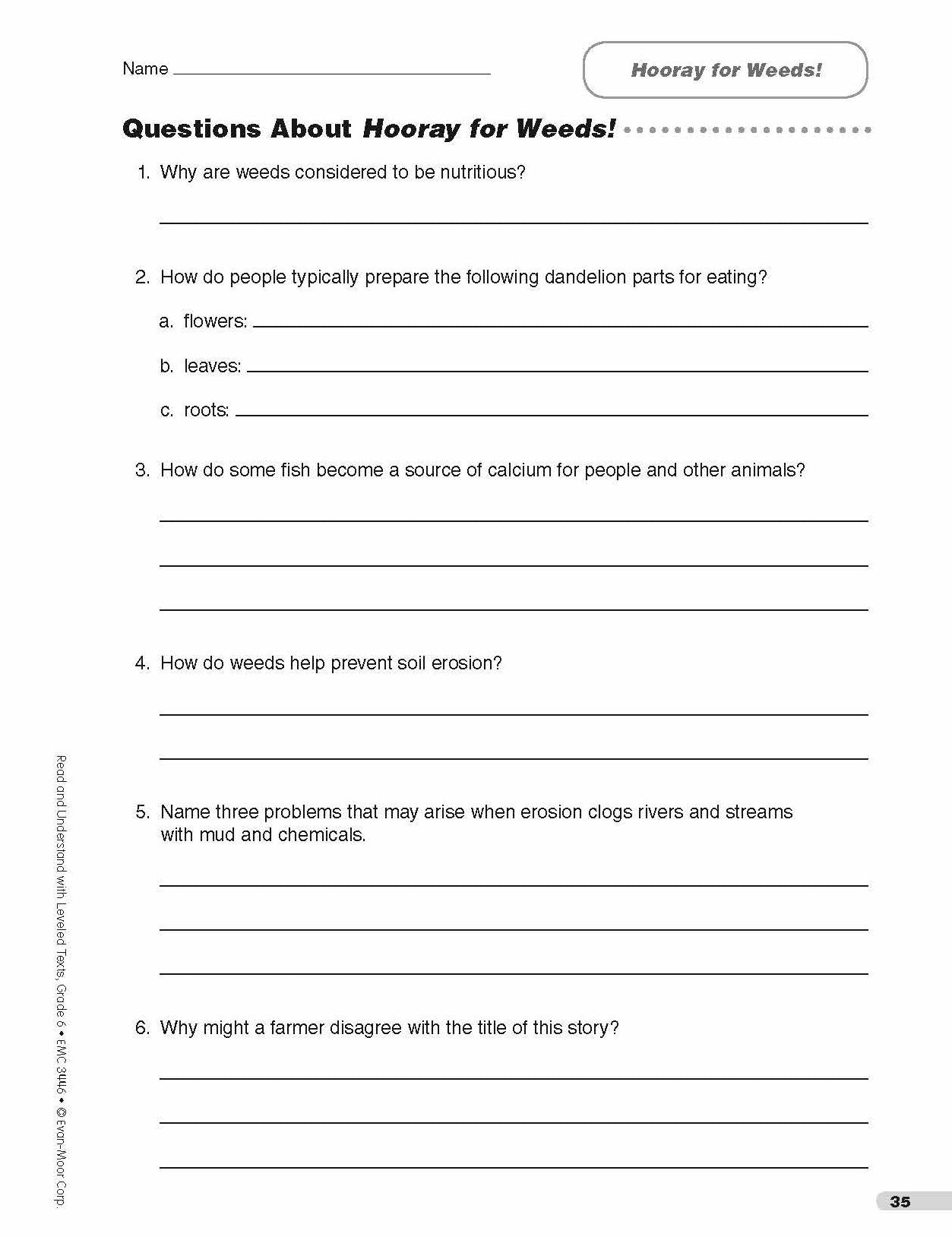 Read and Understand with Leveled Texts: Grade 6+