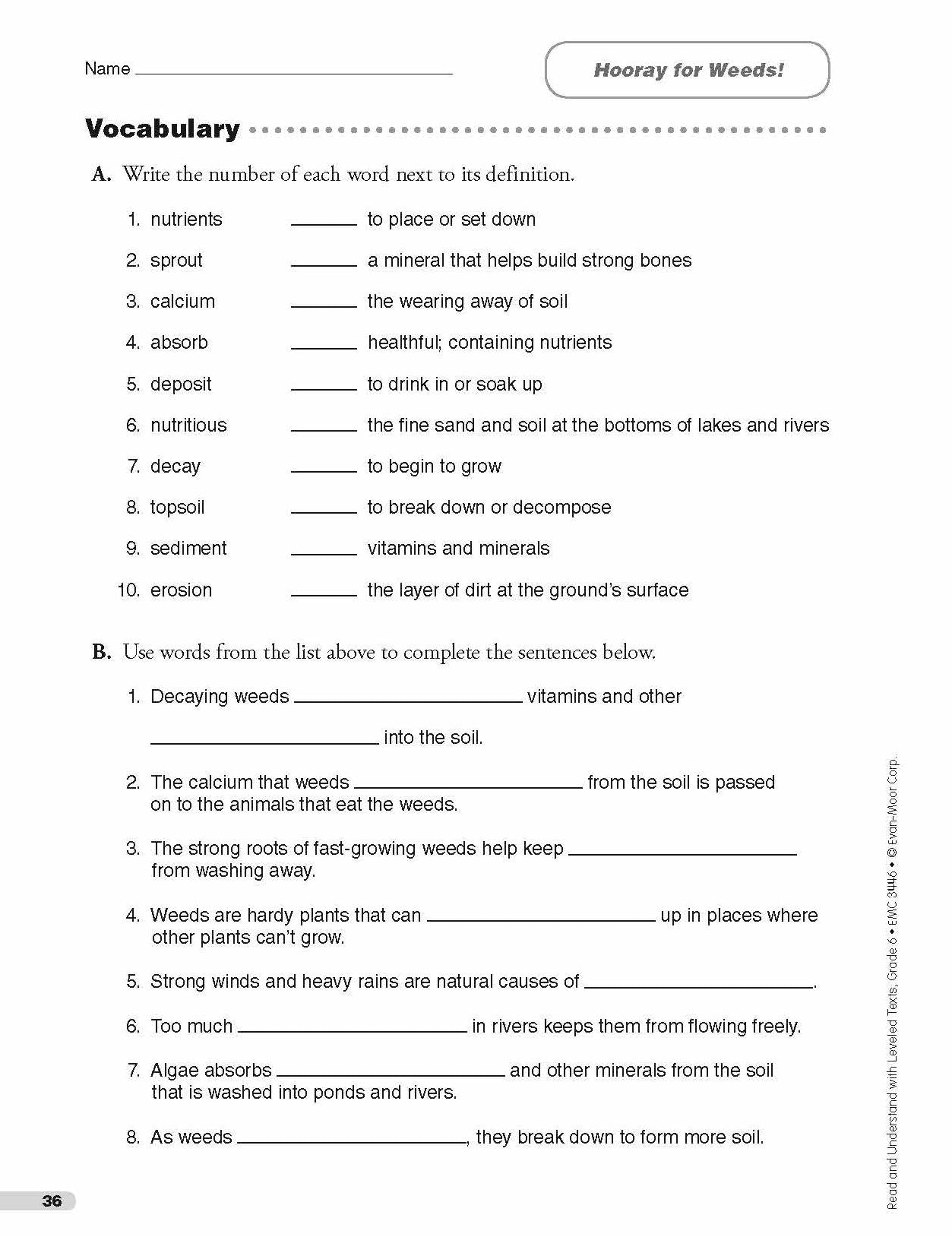 Read and Understand with Leveled Texts: Grade 6+
