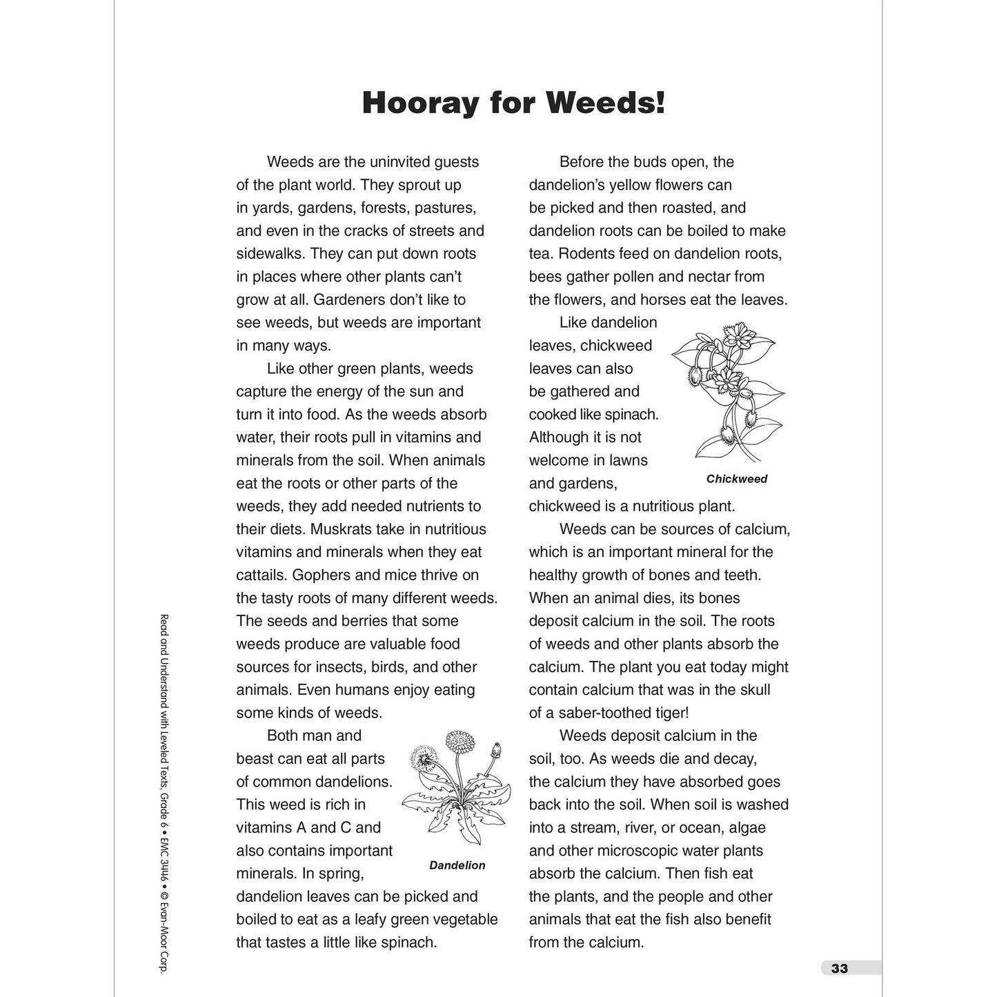 Read and Understand with Leveled Texts: Grade 6+