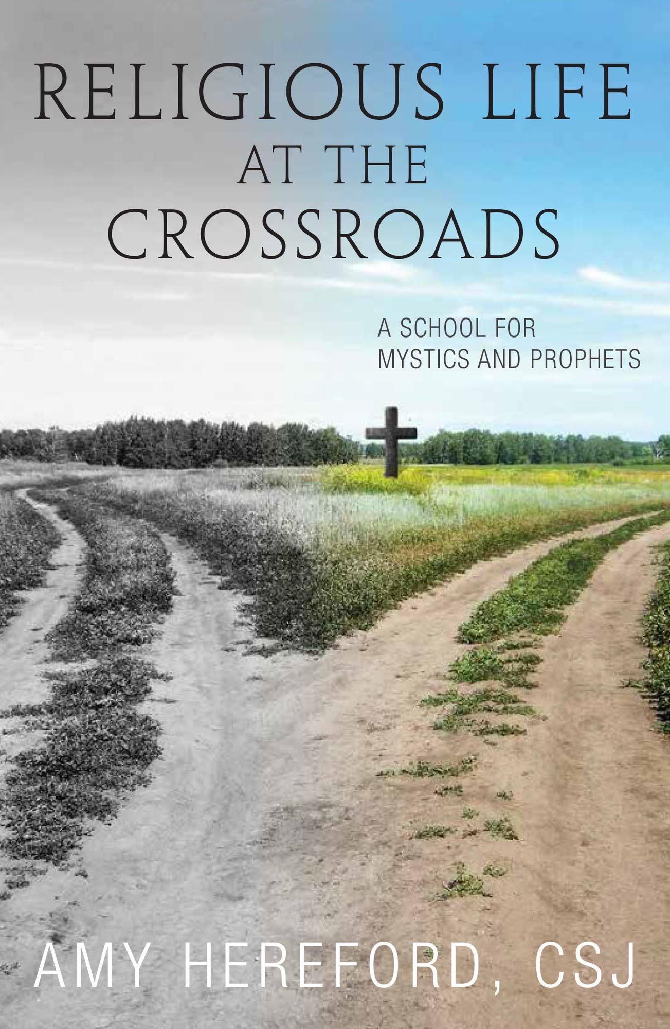 Religious Life at the Crossroads: A School for Mystics and Prophets
