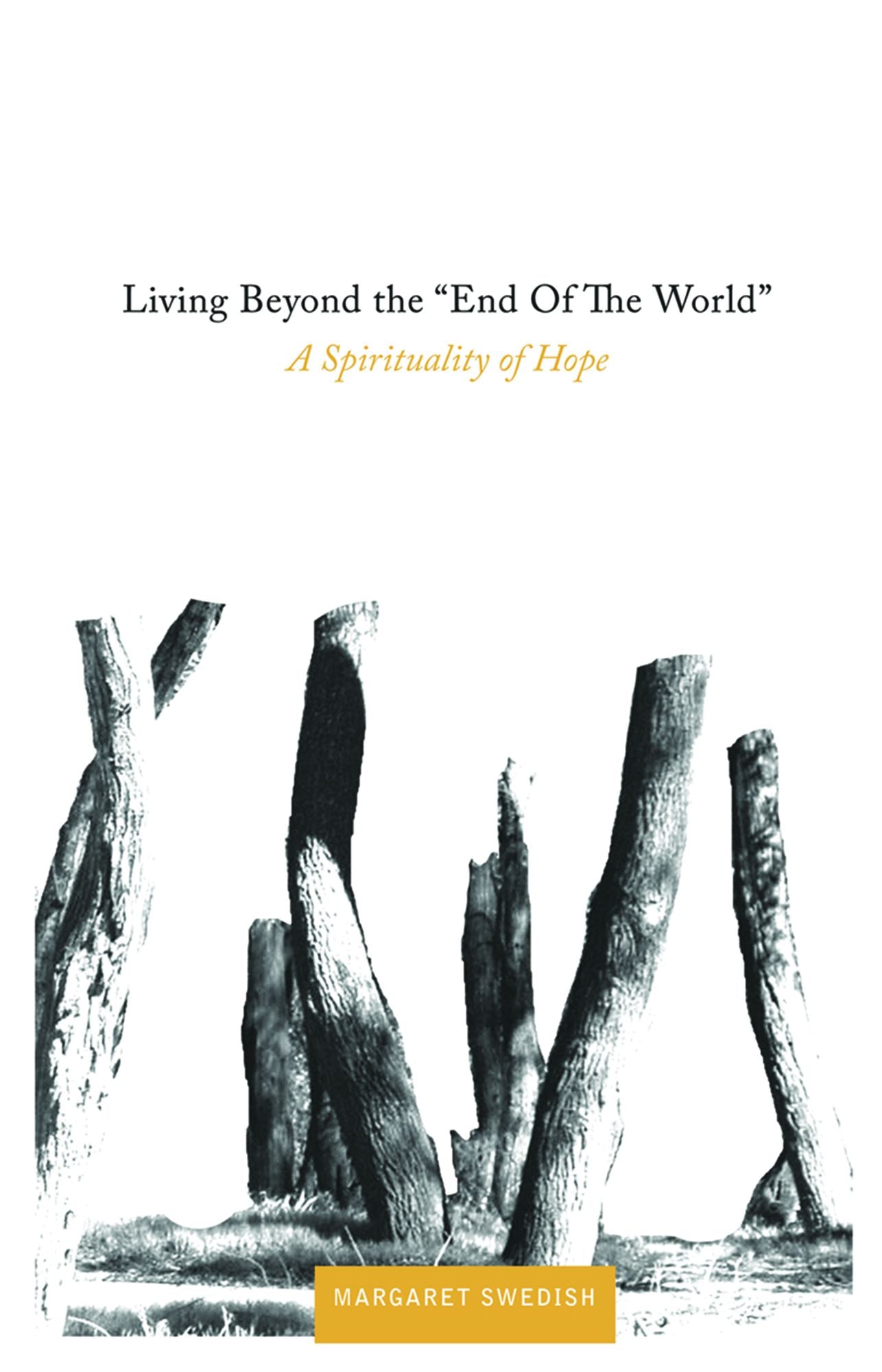 Living Beyond the ''End of the World'': A Spirituality of Hope