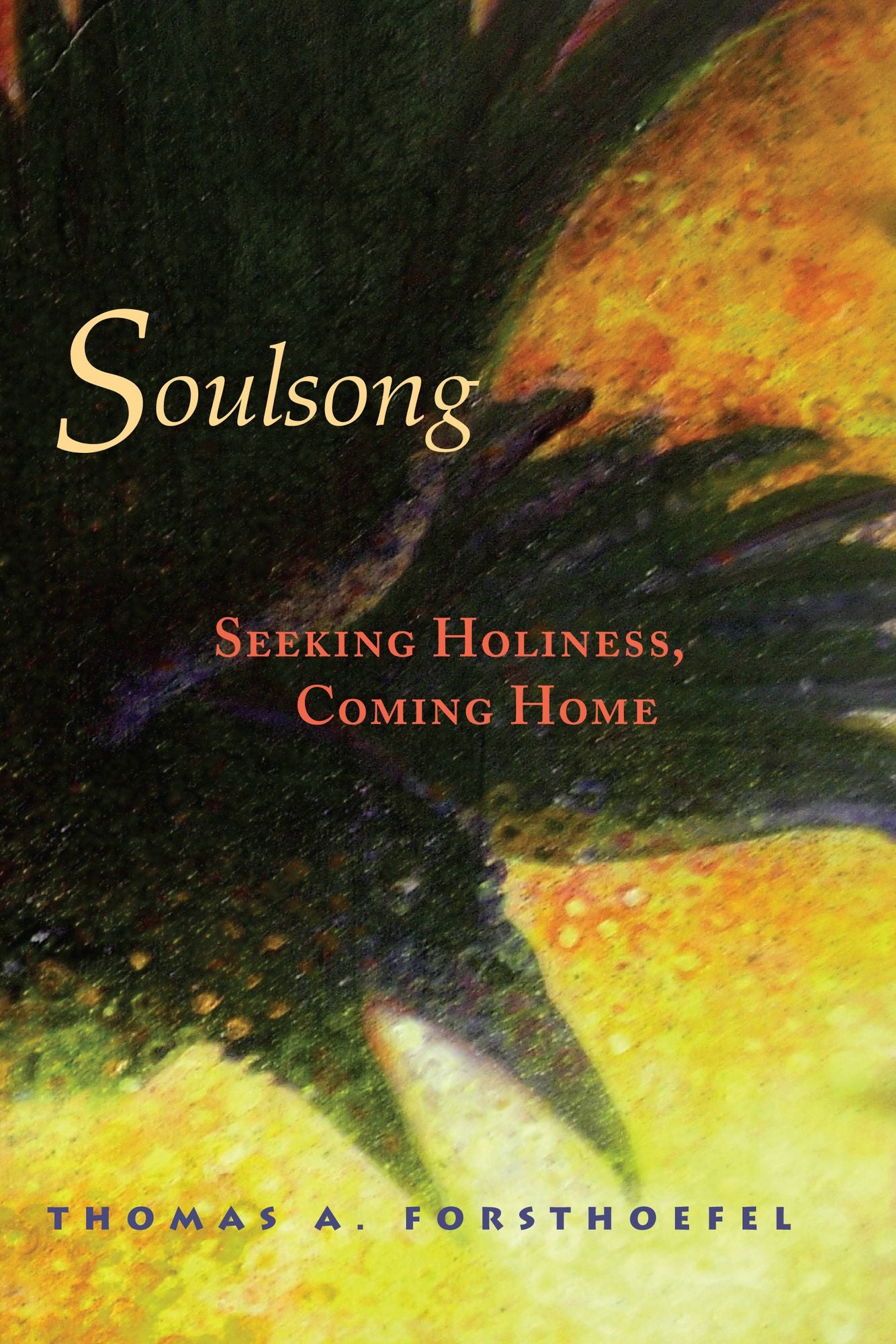 Soulsong: Seeking Holiness, Coming Home