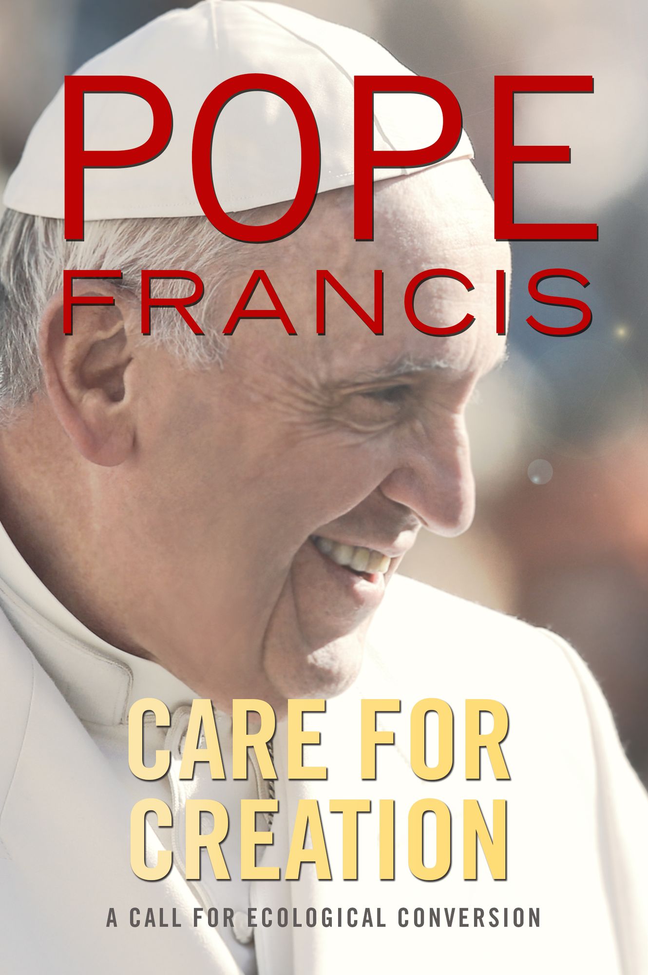 Care for Creation : A Call for Ecological Conversion