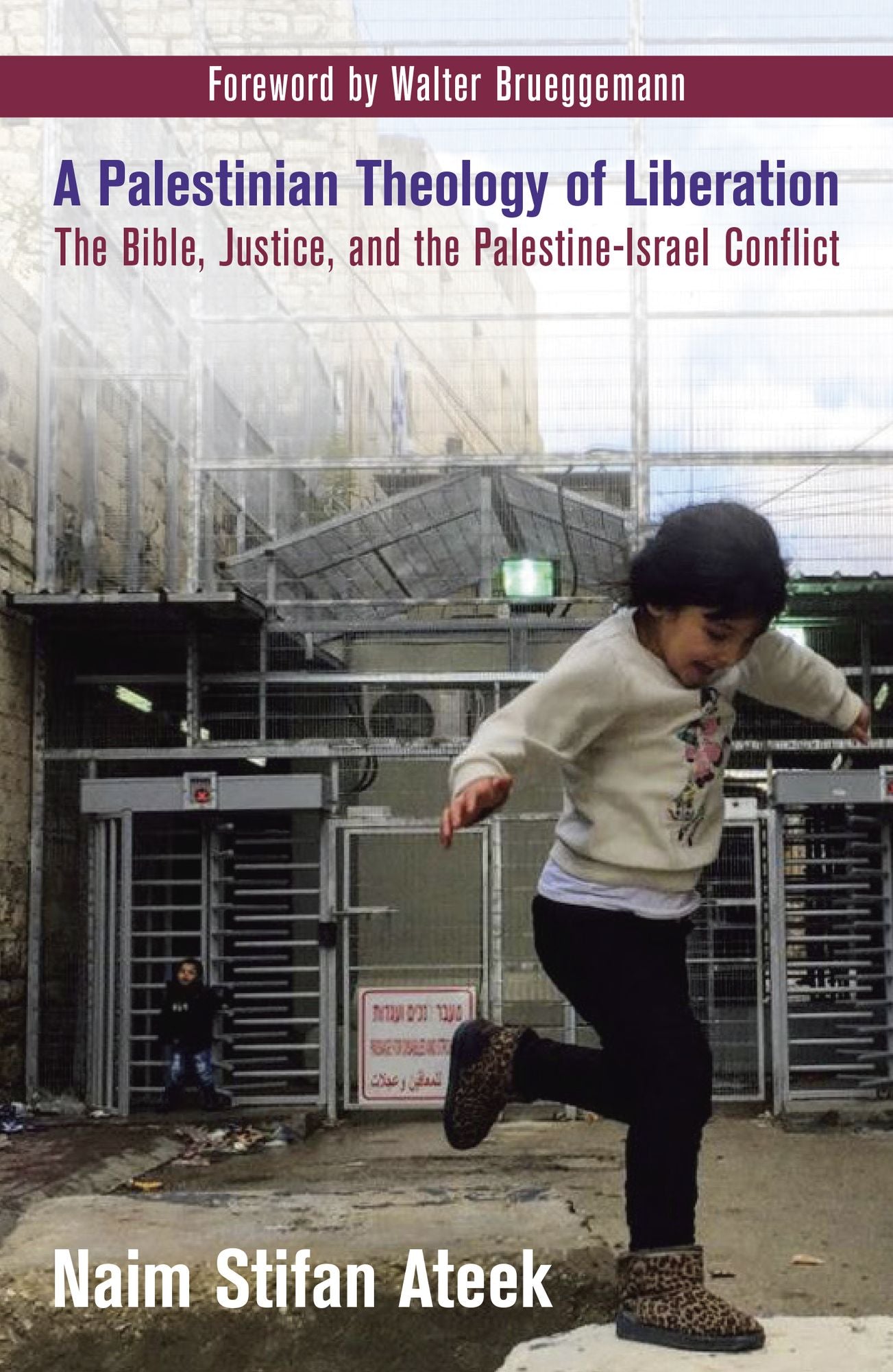 A Palestinian Theology of Liberation : The Bible, Justice, and the Palestine-Israel Conflict