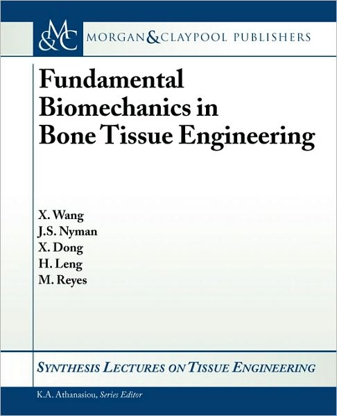 Fundamental Biomechanics In Bone Tissue Engineering