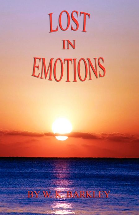 Lost In Emotions