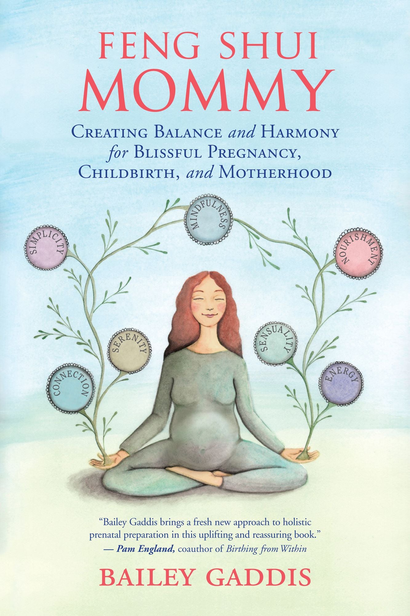 Feng Shui Mommy: Creating Balance and Harmony Amidst the Chaos for Blissful Pregnancy, Childbirth, and Motherhood