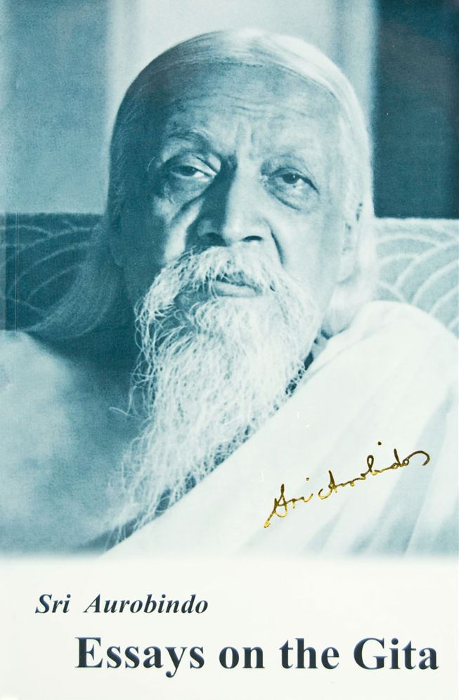 Essays on the Gita