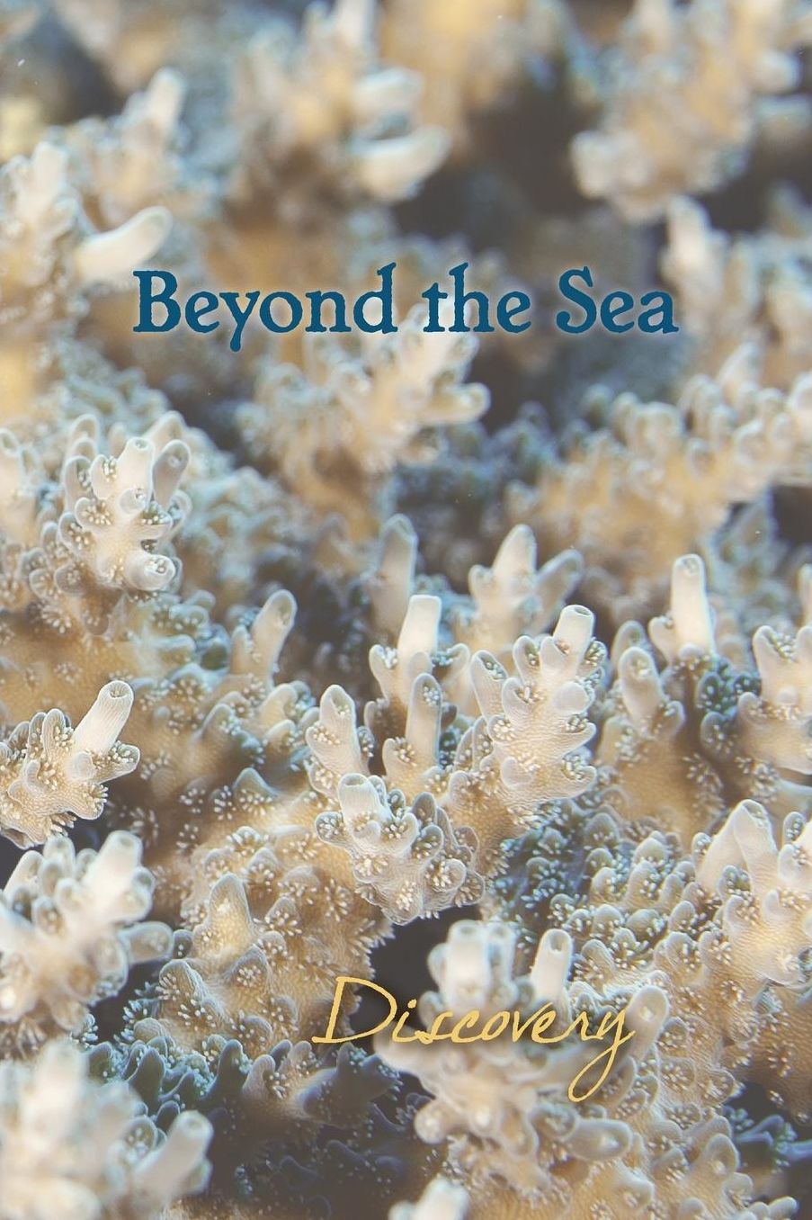 Beyond the Sea: Discovery