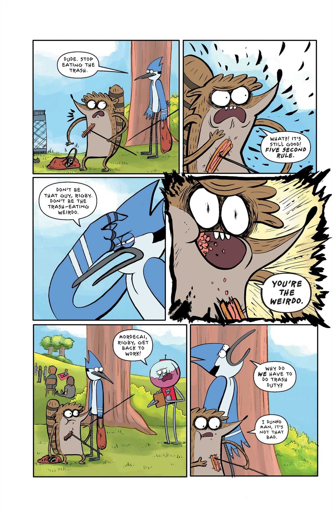 Regular Show Vol. 1 Original Graphic Novel