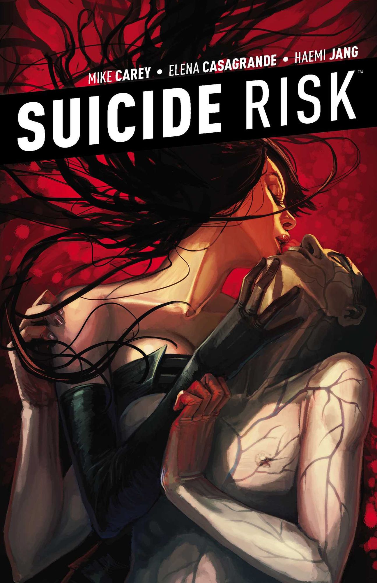 Suicide Risk Vol. 5