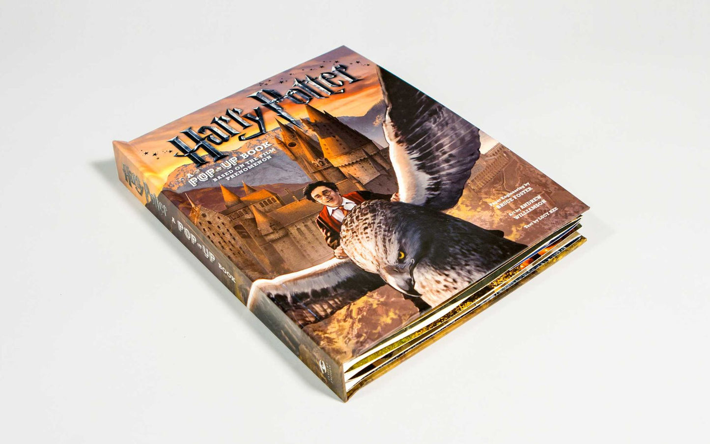 Harry Potter: A Pop-Up Book: Based on the Film Phenomenon