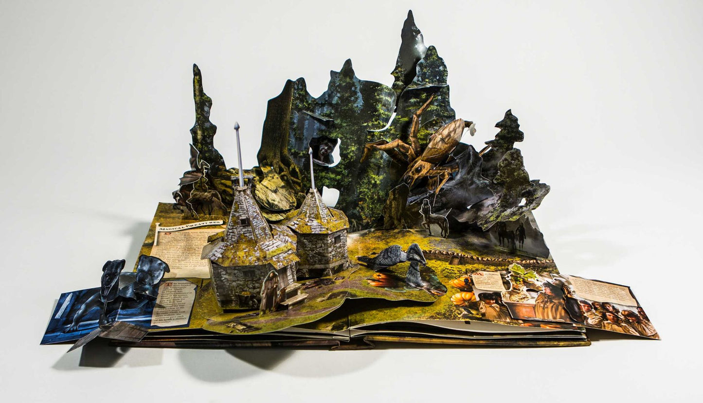 Harry Potter: A Pop-Up Book: Based on the Film Phenomenon