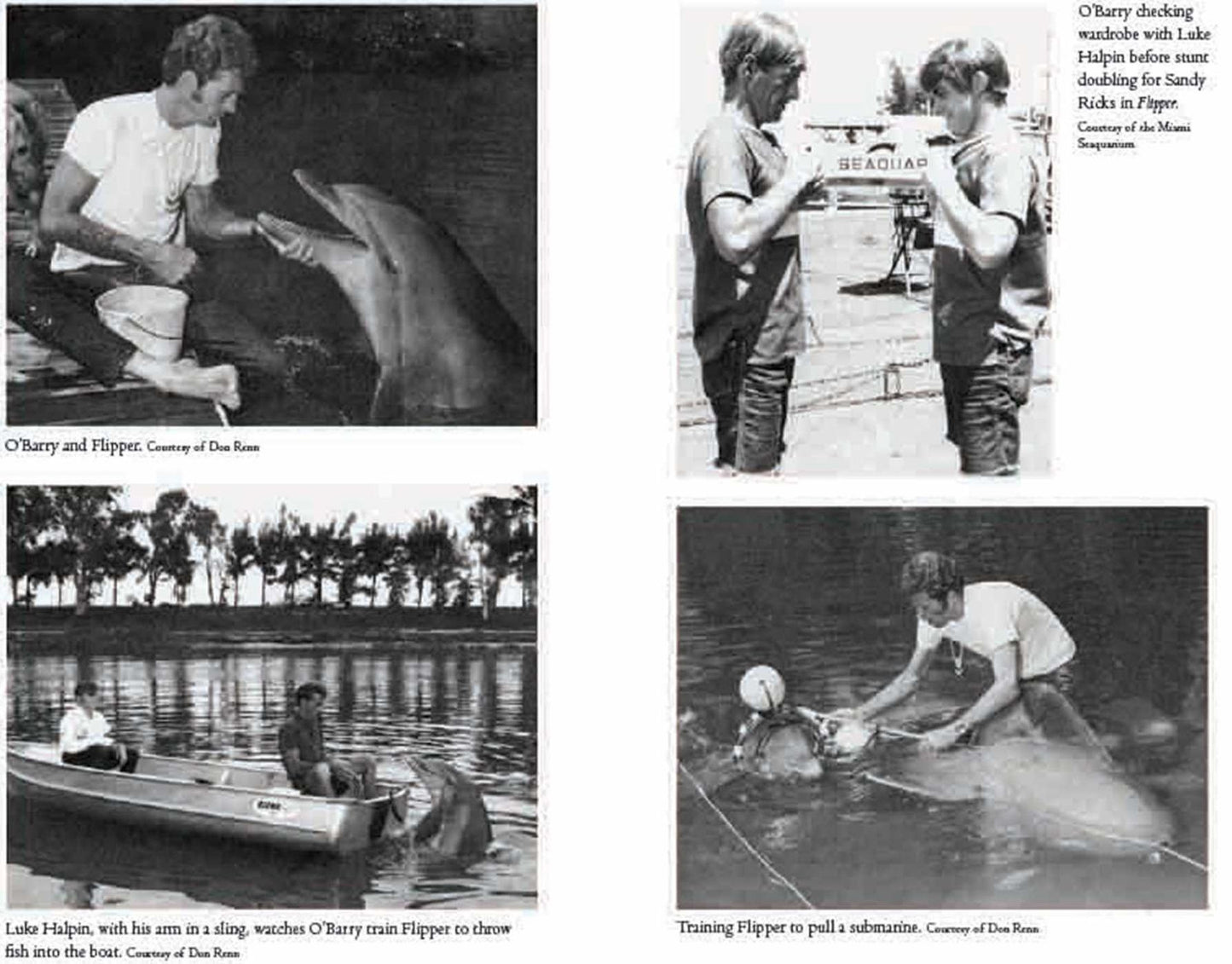 Behind the Dolphin Smile: One Man's Campaign to Protect the World's Dolphins