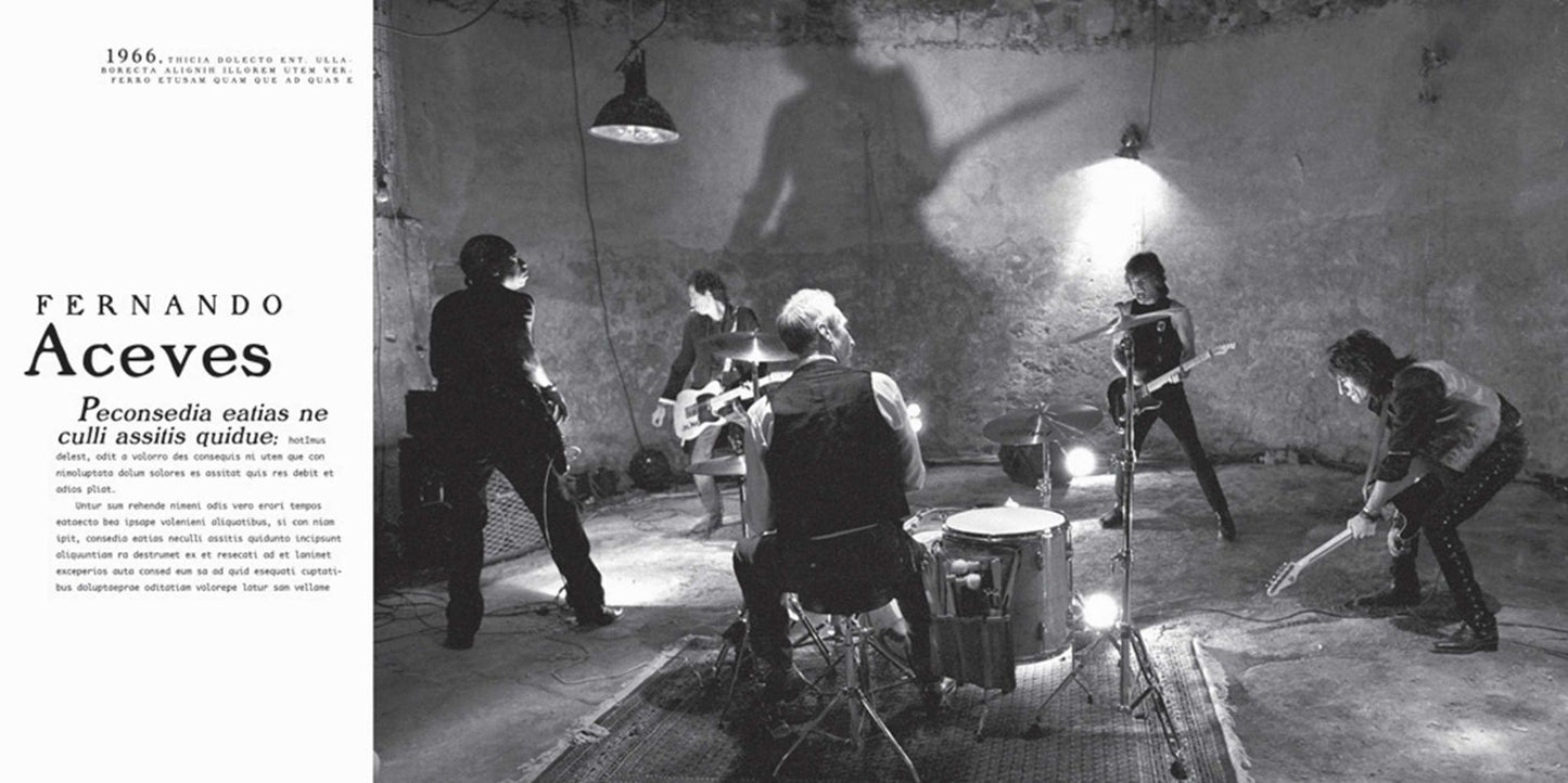 Rolling Stones 50 x 20