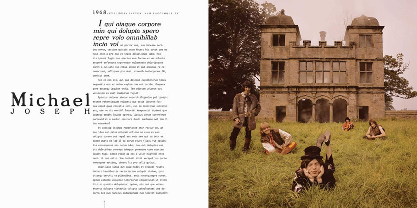 Rolling Stones 50 x 20