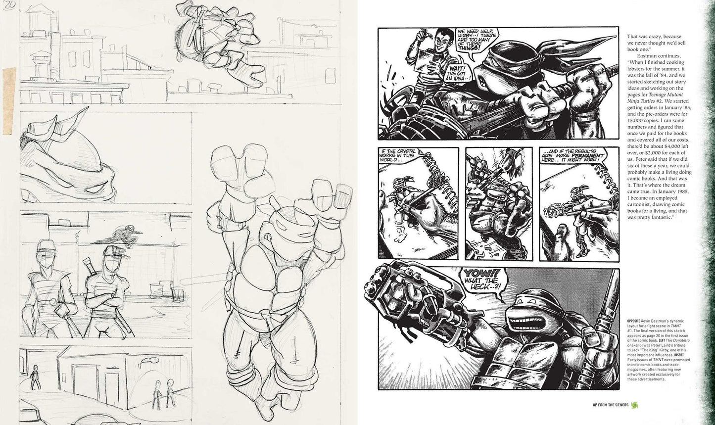 Teenage Mutant Ninja Turtles: The Ultimate Visual History