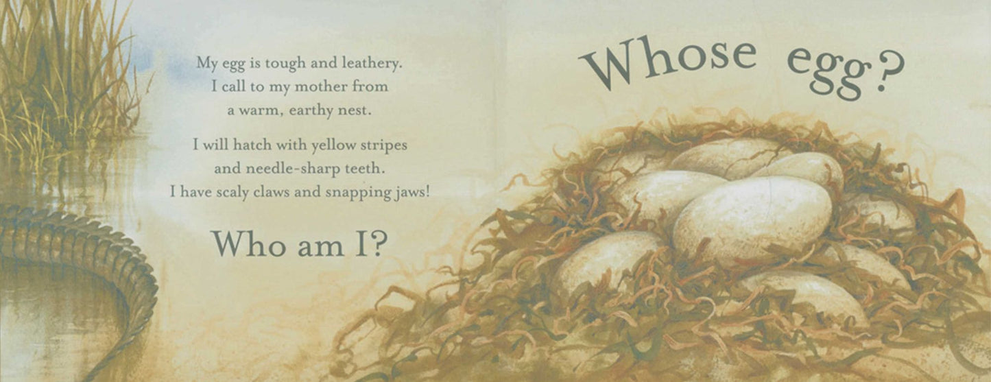 Whose Egg?: A Lift-the-Flap Book