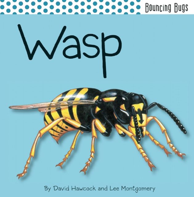 Wasp