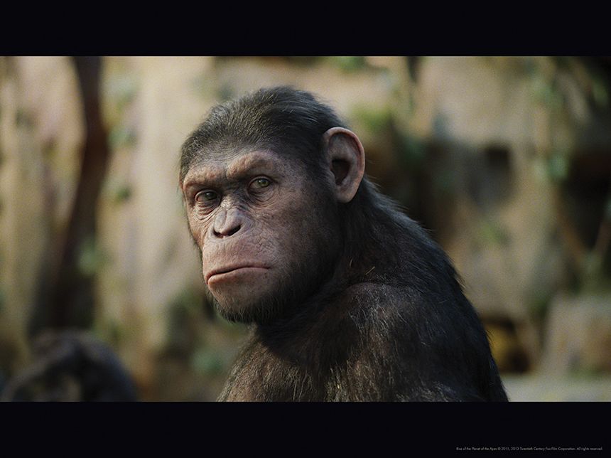 Planet of the Apes : The Poster Collection