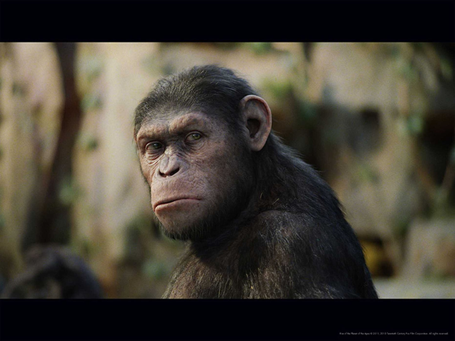Planet of the Apes : The Poster Collection